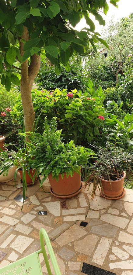 Haus Silvia Διαμέρισμα Ρόβινι Εξωτερικό φωτογραφία